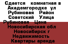 Сдается 1-комнатная в Академгородке, ул. Рубиновая › Район ­ Советский › Улица ­ Рубиновая › Цена ­ 1 600 - Новосибирская обл., Новосибирск г. Недвижимость » Квартиры аренда посуточно   . Новосибирская обл.,Новосибирск г.